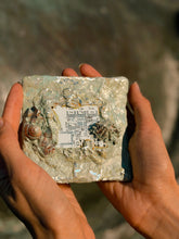 Load image into Gallery viewer, Atlantis Inner Tech IV