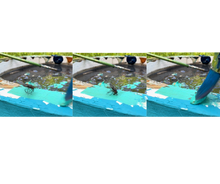 Load image into Gallery viewer, Unisex organic t-shirt - FLYIN' AND TRIPPIN' 🪰