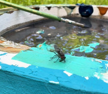 Load image into Gallery viewer, Unisex organic t-shirt - 🪰