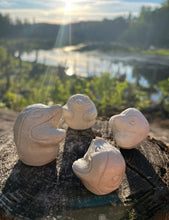 Load image into Gallery viewer, Opalis Tribe - Protectors of the Forests