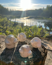 Load image into Gallery viewer, Opalis Tribe - Protectors of the Forests