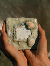 Load image into Gallery viewer, Atlantis Inner Tech I

